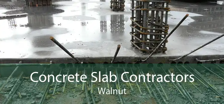 Concrete Slab Contractors Walnut